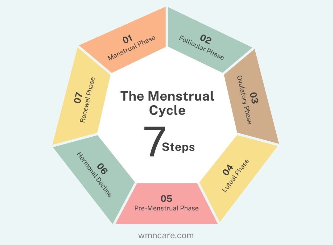 Graph of the menstrual cycle showing hormonal changes, including progesterone levels